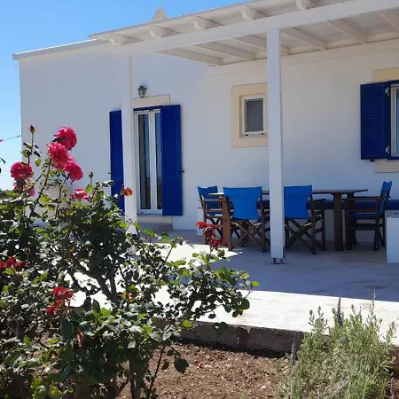Tsipouras House *