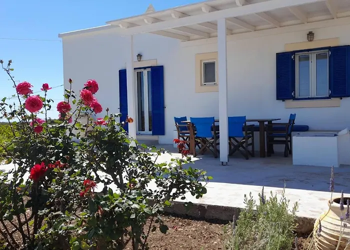 Tsipouras House *